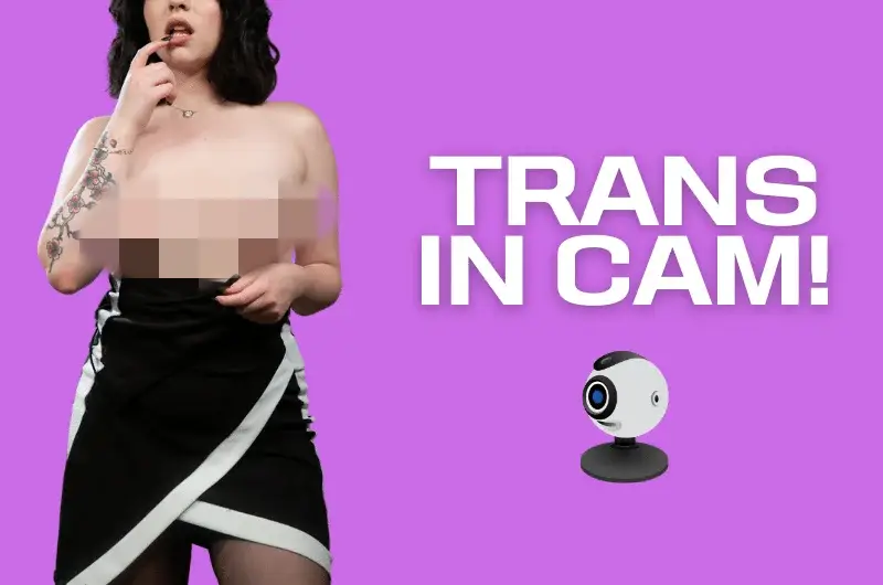 Trans in cam: Dove vedere tranny, ladyboy e tgirls in cam!