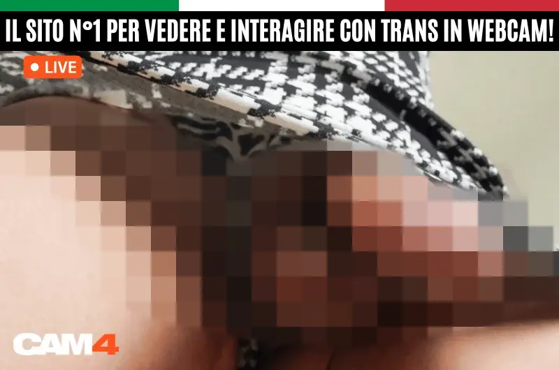 Dove vedere trans in webcam?